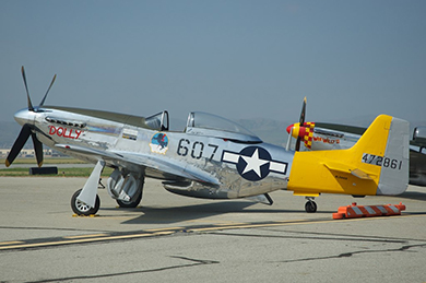 462nd Dolly